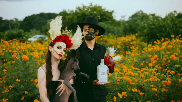 Halloween Captions For Couples Costumes