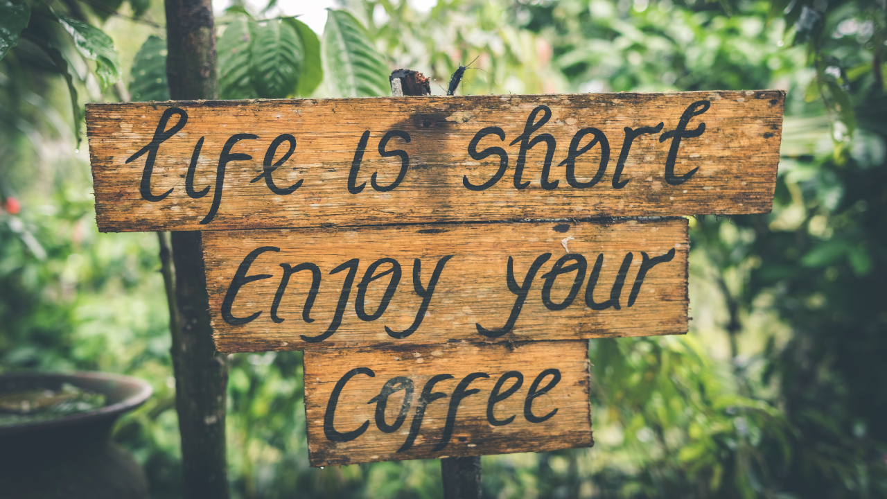 Short Thanksgiving Quotes For Instagram Captions